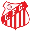Capivariano FC SP Youth Logo